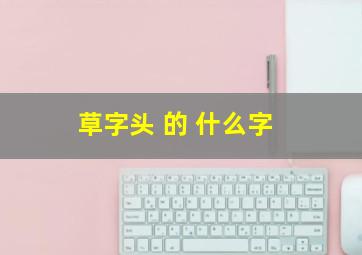 草字头 的 什么字